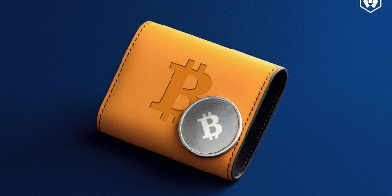 Các Loại Ví Bitcoin Phổ Biến Và Cách Chọn Ví Phù Hợp