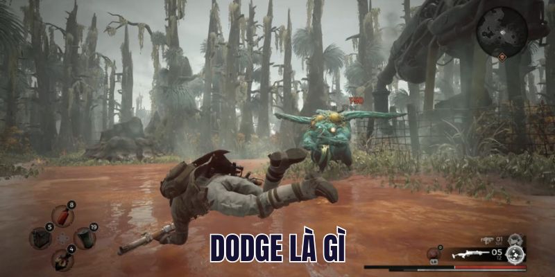 Dodge Là Gì